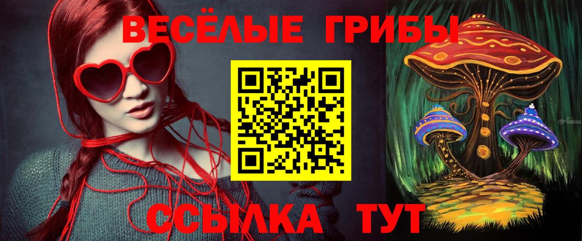 Псилоцибиновые грибы прущие грибы  Вход с VPN  Псилоцибиновые грибы Psilocybe  Сафоново 