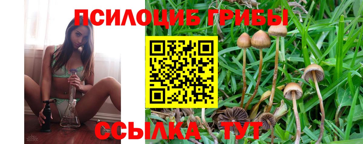 Псилоцибиновые грибы Magic Shrooms Сафоново